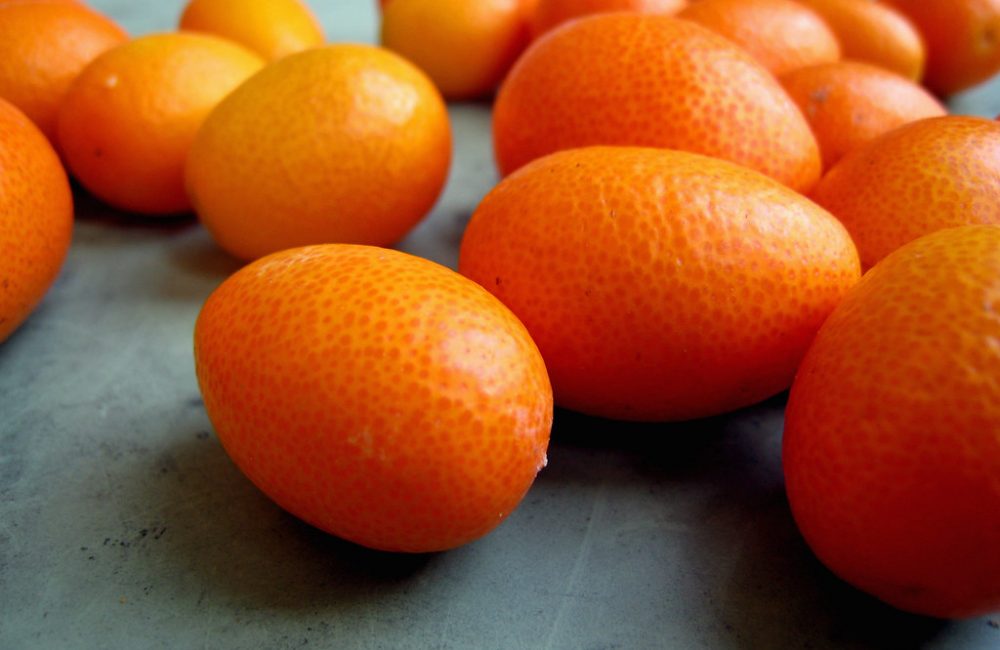 c9f7cc2d 6ae3 4346 aafb e760e9557a69