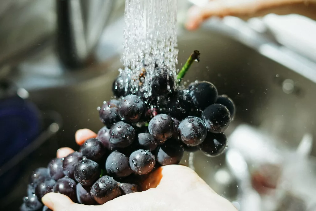 16 Best Benefits of Grapes for General Health 1 16 Best Benefits of Grapes for General Health