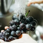 16 Best Benefits of Grapes for General Health