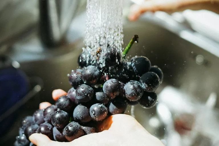 16 Best Benefits of Grapes for General Health