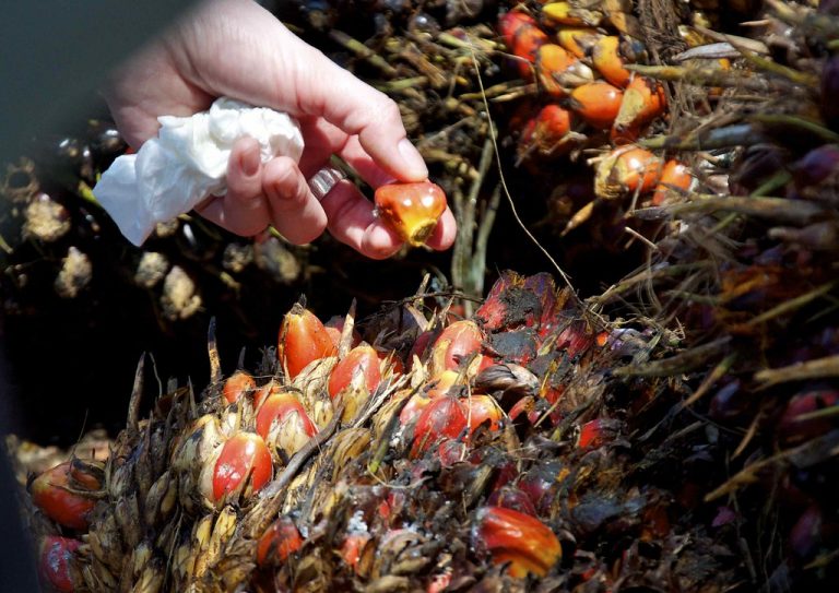 12 Best Health Benefits of Palm Oil Fruit for Children