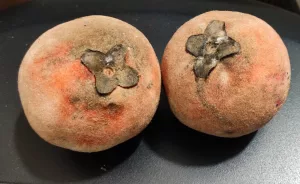 15 Best Health Benefits of Velvet Apple (Mabolo) for Health