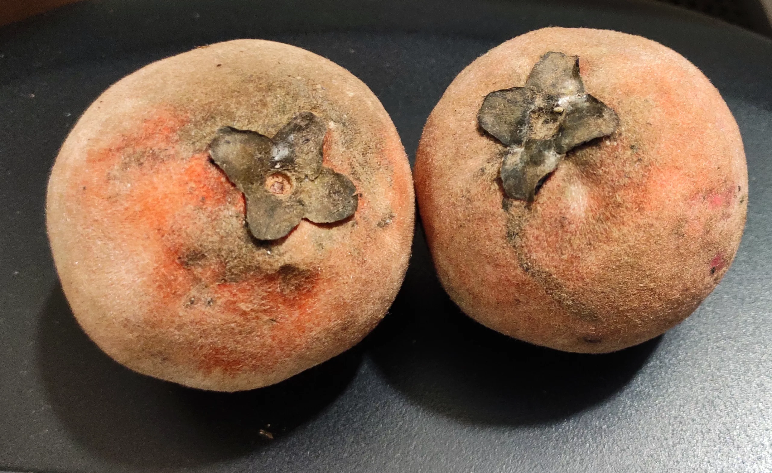 15 Best Health Benefits of Velvet Apple (Mabolo) for Health 1 eccce000 8f89 4ab9 94b0 e07d68e3d0dc 1 scaled