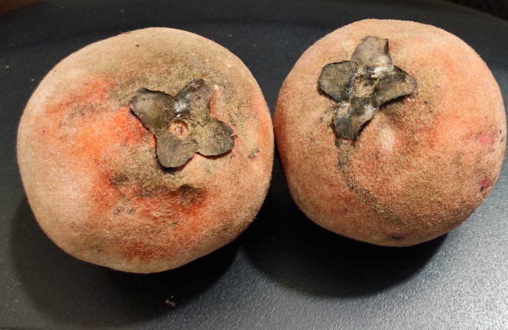 eccce000 8f89 4ab9 94b0 e07d68e3d0dc