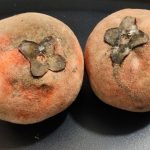 10 Best Health Benefits of Velvet Apple for Children