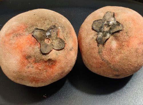 eccce000 8f89 4ab9 94b0 e07d68e3d0dc