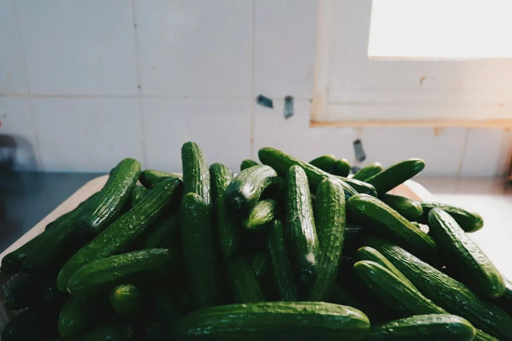 20 Amazing Health Benefits of Cucumber Consumption 1 20 Amazing Health Benefits of Cucumber Consumption