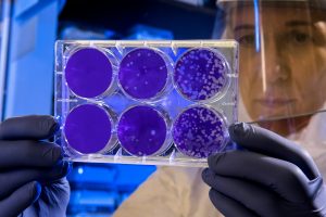 What Are Stem Cells, and What Are Their Purposes?