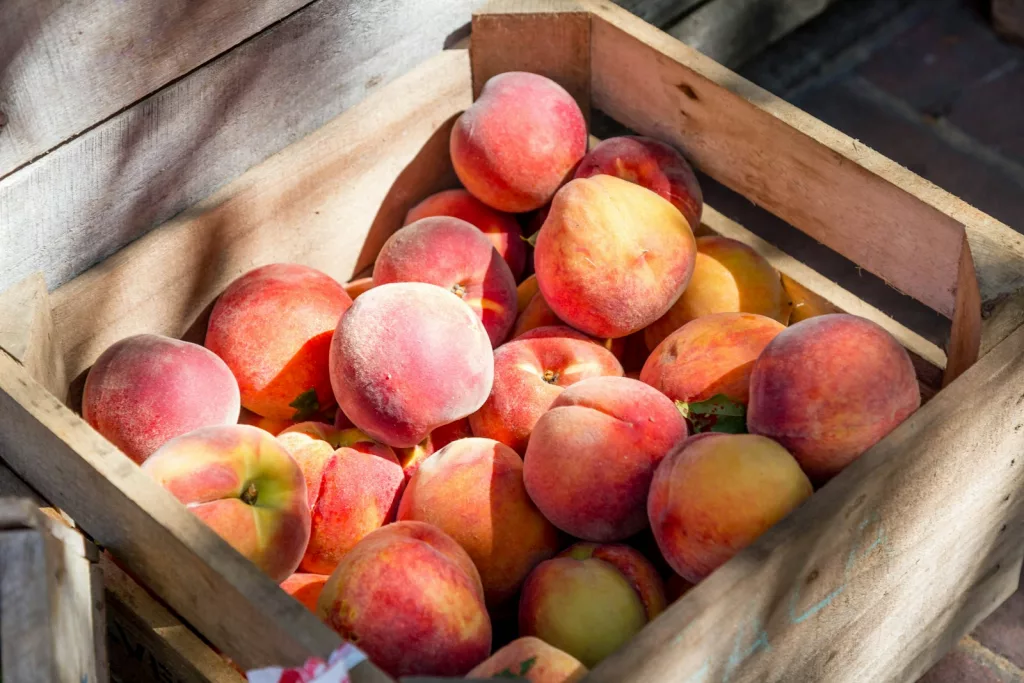 13 Amazing Benefits of Peach for General Health