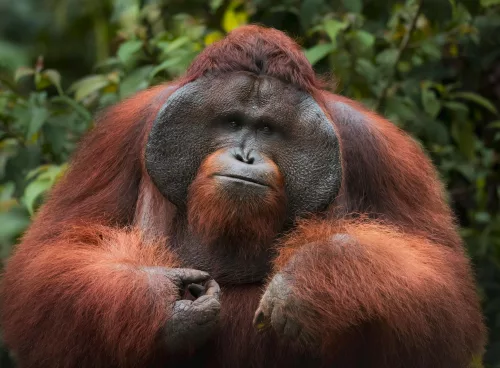 pexels florian kriechbaumer 1479976889 26926253