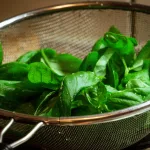 17 Powerful Health Benefits of Basil