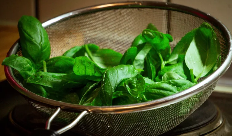 17 Powerful Health Benefits of Basil