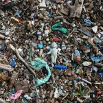 Microplastics: Impact on Health and Environment Explained