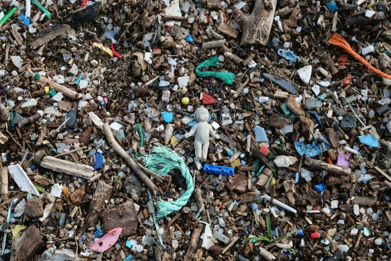 Microplastics: Impact on Health and Environment Explained