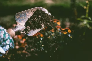 20 Benefits of Gardening for Physical Activity and Mental Relaxation