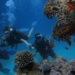 10 Best Places to Visit for Underwater Exploration