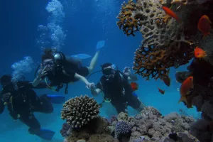 10 Best Places to Visit for Underwater Exploration
