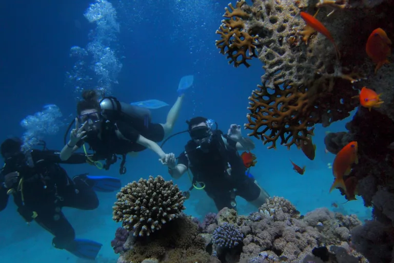 10 Best Places to Visit for Underwater Exploration