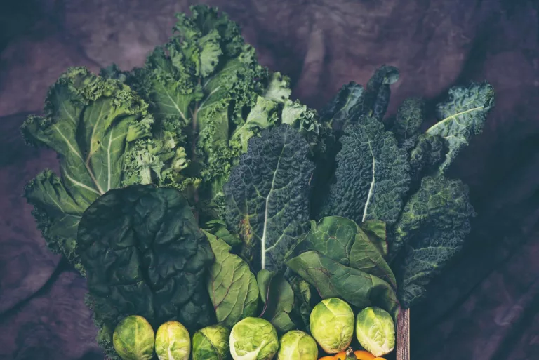 Sulforaphanes: Powerful Super Nutrients in Cruciferous Vegetables for Optimal Health