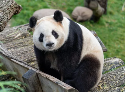 2db8da3f 588f 4e29 b2c9 168912e3dcc3 1