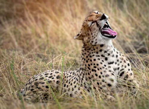 357fa00e 92c7 49ea a1da 61117524fe3b 1