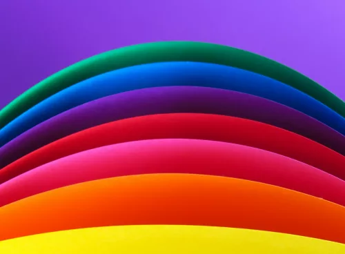 510251e8 e76b 452a b61c d708b4a8a75f 1