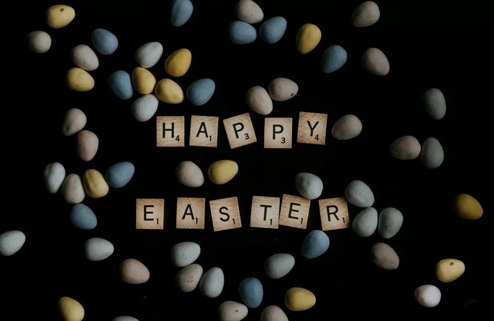 56ba6bbf f61e 455d ae3e 9f4b3e198c0a 1