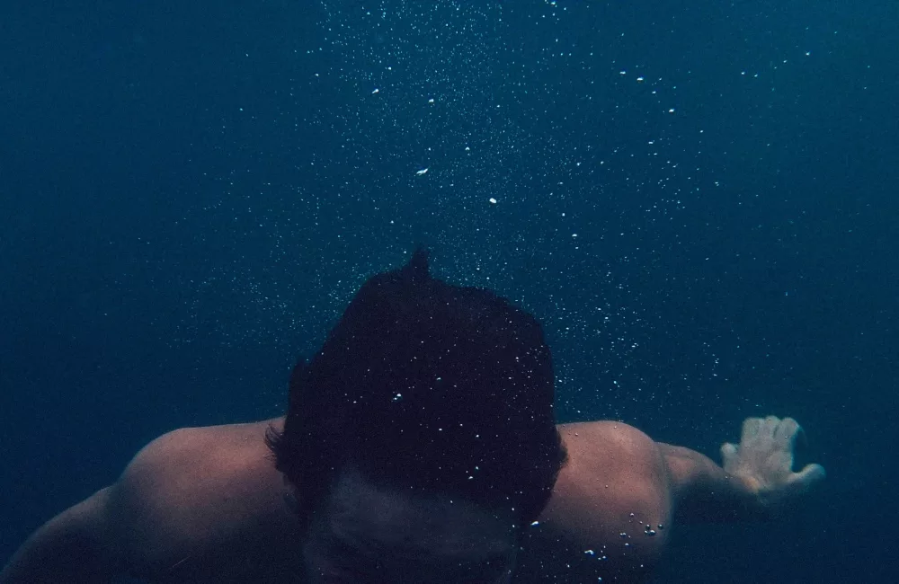 752f44e5 4bc4 456e a58f 5d17009611d6 1