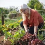 How to Start a Garden: 20 Essential Tips to Grow a Thriving Garden at Home