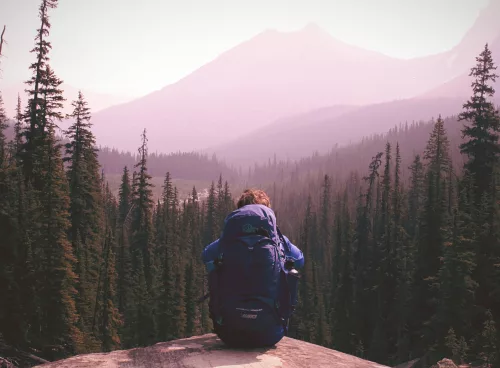 8e9e7089 765c 473b 960b 706d0154e58c 1