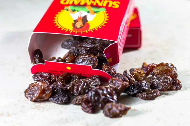 Are Raisins Good for You? 12 Surprising Benefits of Raisins for General Health
