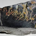 What Exactly Is Shungite and What Are Its Benefits?