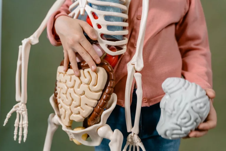 The Gut-Brain Axis: How Your Microbiome Influences Mental Health