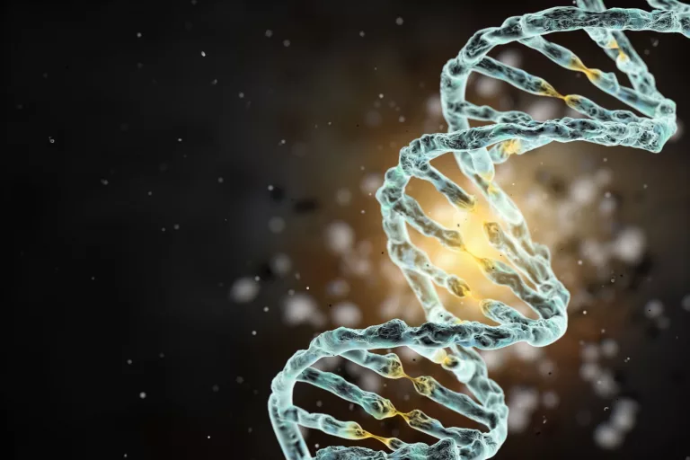 Nutritional Epigenetics: How Diet Influences Your Genes