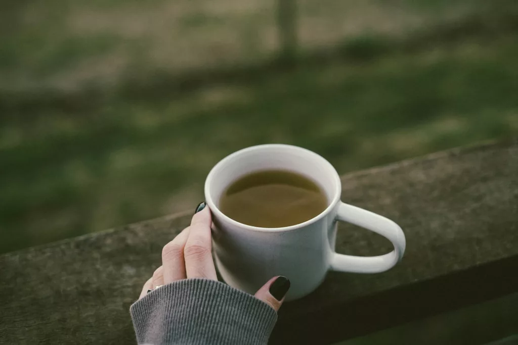Green Tea Benefits: 19 Reasons Why You Should Include It in Your Diet