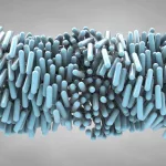 What Are Liquid Crystals? The Science Behind Screens and Displays