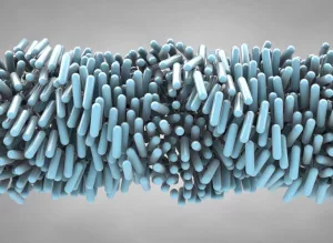 What Are Liquid Crystals? The Science Behind Screens and Displays