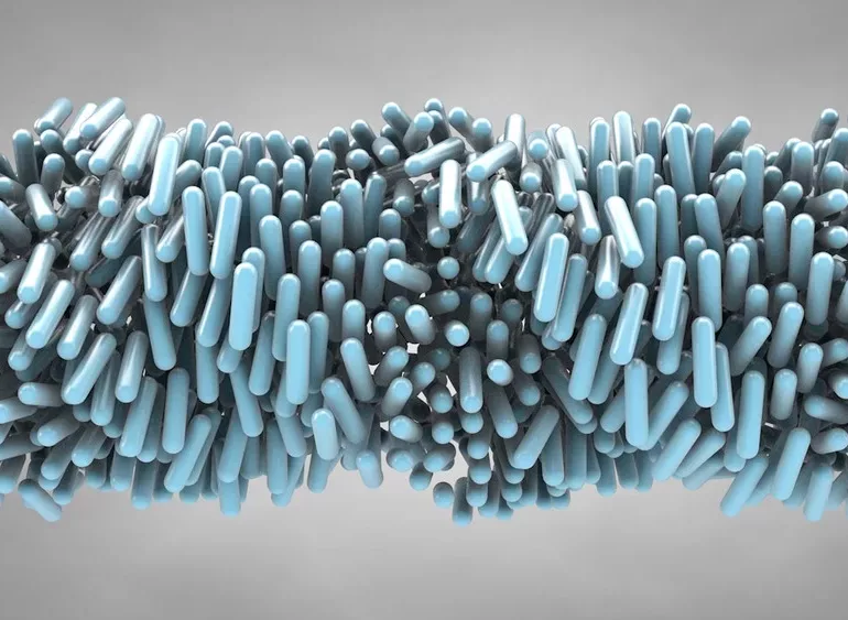 What Are Liquid Crystals? The Science Behind Screens and Displays 1 What Are Liquid Crystals? The Science Behind Screens and Displays
