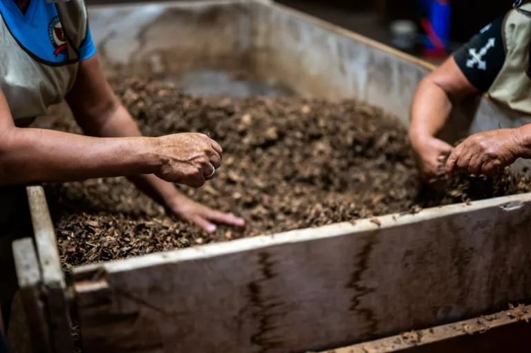 How to Build and Maintain a Compost Bin