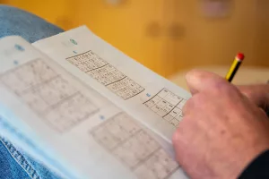 20 Mental Benefits of Doing Puzzles and Brain Games