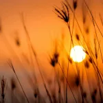 20 Fascinating Facts About the Sun: Understanding Our Solar System’s Star