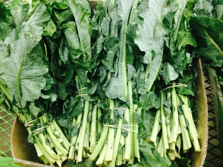 18 Disease Prevention Foods to Lower Risk of Chronic Conditions