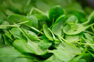 17 Nutrient-Packed Leafy Greens for Daily Health