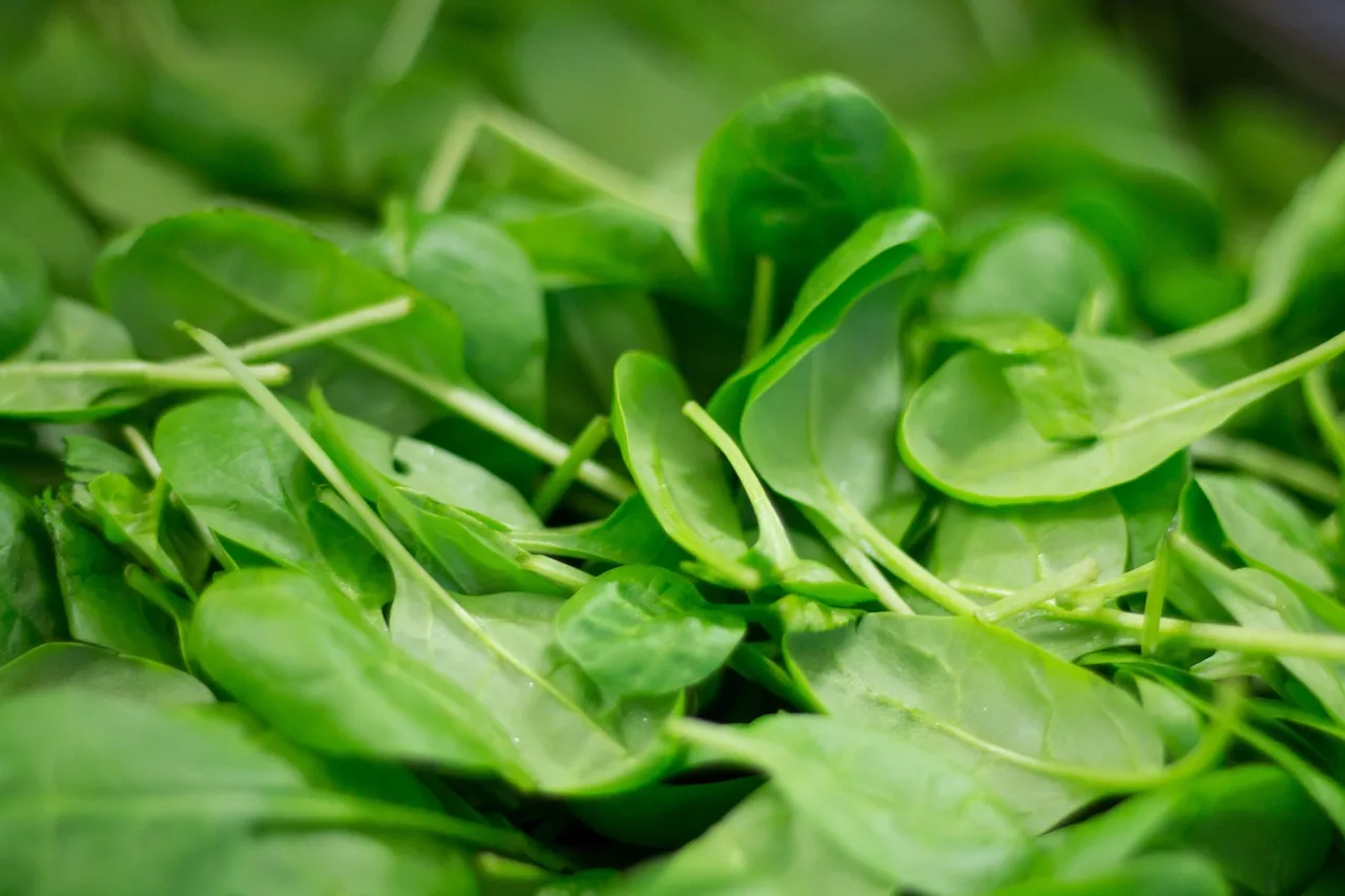 17 Nutrient-Packed Leafy Greens for Daily Health 1 spinach