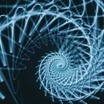 The Mathematics of Nature: Patterns That Rule the Universe