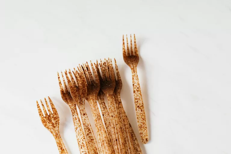 Bioplastics: Turning Bacteria into Eco-Friendly Materials