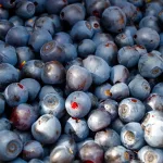 15 Kidney-Supportive Foods to Enhance Your Detox Diet