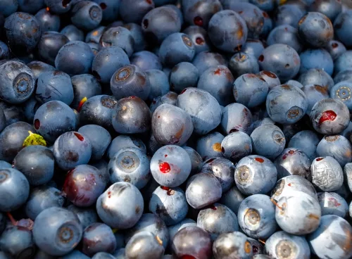 Blueberries