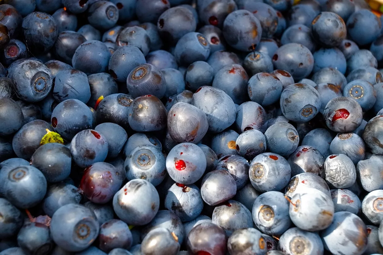 15 Kidney-Supportive Foods to Enhance Your Detox Diet 1 Blueberries
