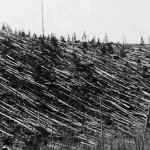 The Tunguska Event: What Really Happened in Siberia in 1908?